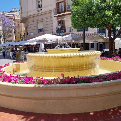 Fountain ringed with pink flowers in Murcia's Plaza de las Flores, with café terraces under white parasols, orange trees and jacaranda in bloom behind