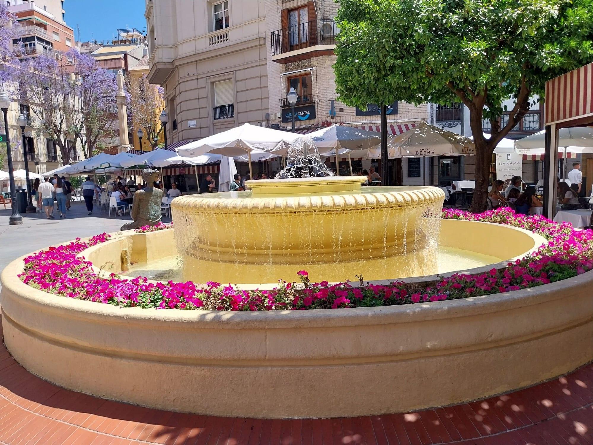 Fountain ringed with pink flowers in Murcia's Plaza de las Flores, with café terraces under white parasols, orange trees and jacaranda in bloom behind