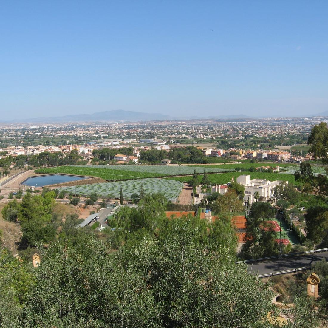View over the huerta, Murcia's irrigated farmland plain, from the hills of the Fuensanta sanctuary: fields, an irrigation pond, villages and distant mountains