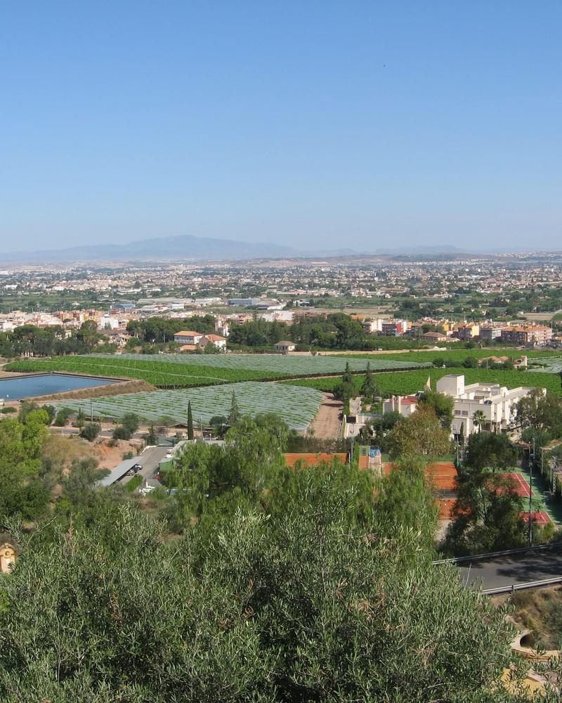 View over the huerta, Murcia's irrigated farmland plain, from the hills of the Fuensanta sanctuary: fields, an irrigation pond, villages and distant mountains